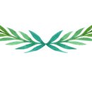 연세햇님소아청소년과의원 이미지