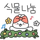 플렌케 이미지
