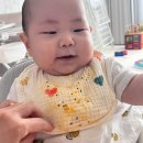 내 손안의 하모니카 : 중급 | 7개월 아기 자기주도 6주차 식단 &amp; 후기 - 이유식 2회 시작