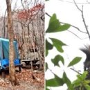 거제자연휴양림 이미지