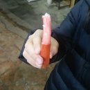 대우닭집