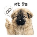 김포중장비자동차정비학원