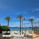 이화정국제오토하프 | 스페인 마요르카 여행 렌트카 예약 국제운전면허증 주의사항 찐 후기