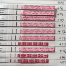 역전제일약국 | 시험관 아기준비- 3차 신선배아 이식과정 및 임신성공 2탄 (착상증상, 임테기 결과)