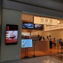 삼성동 코엑스몰 넓은 까페 추천 가배도 티라미슈 완벽에 가까운 맛 감동후기 (내돈내산)