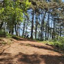 덕절산생태공원 이미지