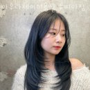 수피아공원로 이미지