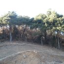 여주-0962 이미지