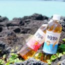 패밀리 식품
