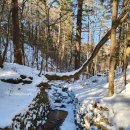 (주)방아다리 이미지