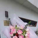 플로리포레 이미지