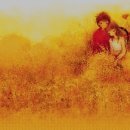 메기의 추억 이미지