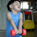 멍멍타요 이미지