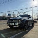 로고스카센타 이미지