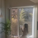 서지별담, 강릉 경포호 근처 독채 풀빌라 담채 솔직후기 (강릉신상감성숙소)