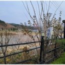 신나로힐링펜션 이미지