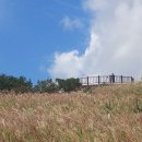 바람소리 이미지