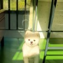 원쿡아카데미 이미지