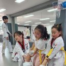 베스트 태권도 이미지