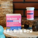 건강한윌병원 | 임산부 장 건강 지켜주는 가성비 레이디제인 유산균 | 소버스 이너윌 질 유래 유산균