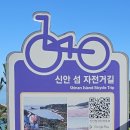 비금북부길 이미지