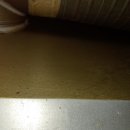 둔포식당 이미지