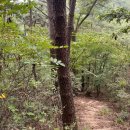 내서읍140 | 등산 ⛰ : 마산 무학산