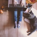 고양이집사 이미지