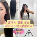 머리하고 | 홍대미용실 페코르마｜레이어드컷+붙임머리 하고 얼태기 탈출한 후기