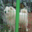 모래실1길 | 거제카페 : 바다가 보이는 사곡카페 수비카페 SUBI CAFE