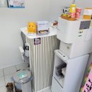 비니펫살롱 이미지