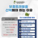 거북이 엔터테이먼트 | 보홀 호핑투어 단독 가격 복장 준비물 발리카삭 거북이 니모