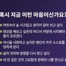 [2024년 3기] 양재 심화 | [공지] [한밝음명상 기본 6주 과정] 호흡명상 기초.심화 6주 + 마음관리 명상 6주