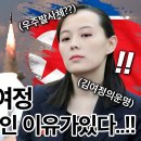도깨비닷컴 이미지