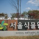 서울 보타닉파크(BOTANIC PARK)답사걷기(10월24일,수) 이미지