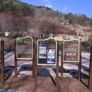 진안 메타세쿼이아길 이미지