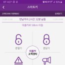 공주카