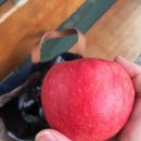 인천동양중학교 이미지