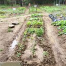 삼선농장 이미지