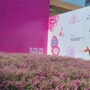 타래뷰티 | 2025 지그재그 뷰티 팝업 후기｜똥손도 즐길 수 있는 브랜드별 기억에 남는 이벤트 정리