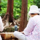 고분도리 총각네 이미지