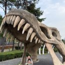 공룡발자국공원 화장실 이미지