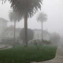 더 푸른 이미지