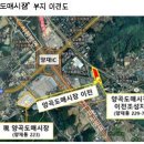 양곡도매시장 티스토리