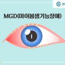 한국건성안학회
