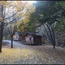 루트밸리 이미지