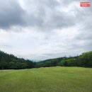 세컨더블비 이미지