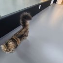 플라이하이태권도 이미지