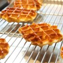 와플반트 이미지