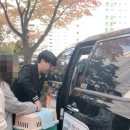 (주)펫투데이 이미지